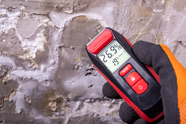Best Commercial Mold Removal  in Dripping Springs, TX
