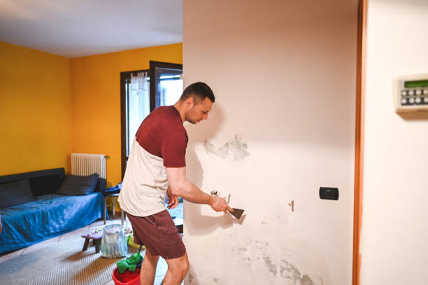 Best Local Mold Removal Service  in Dripping Springs, TX